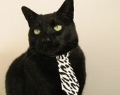 配速曲线深度剖析赛场节奏，配速指什么